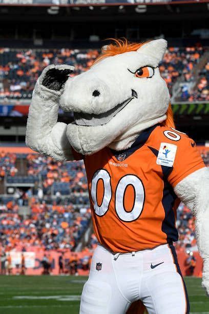 The Denver Broncos' Biggest Fan: Thunder the Horse